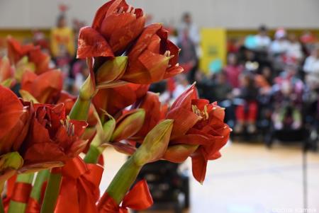 Prednovoletno srečanje otrok in mladostnikov CIRIUS-a Kamnik (43)